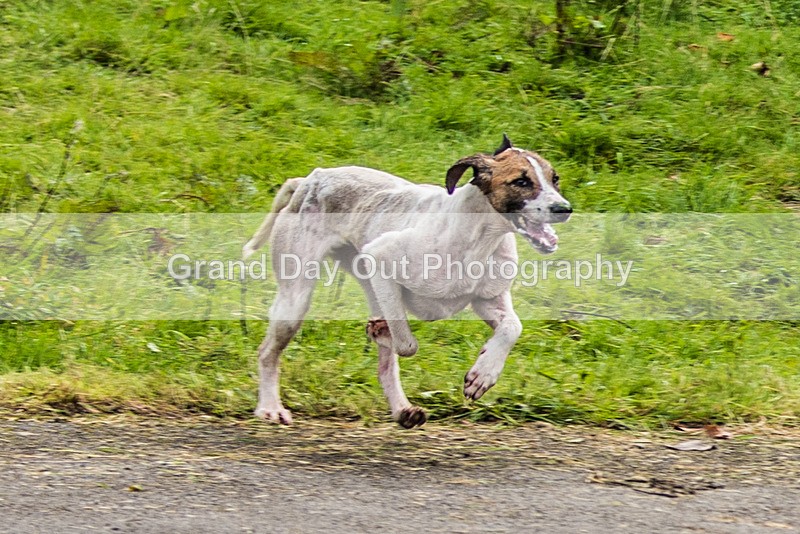 Grasmere-1 - Grasmere Sports Junior & Senior Fell Races Sunday 27th August 2023