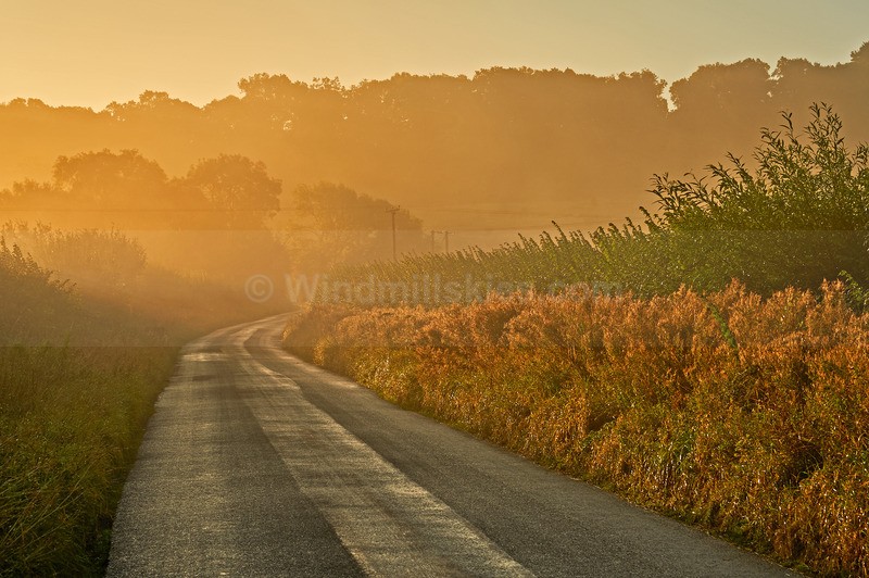 - Cotswolds