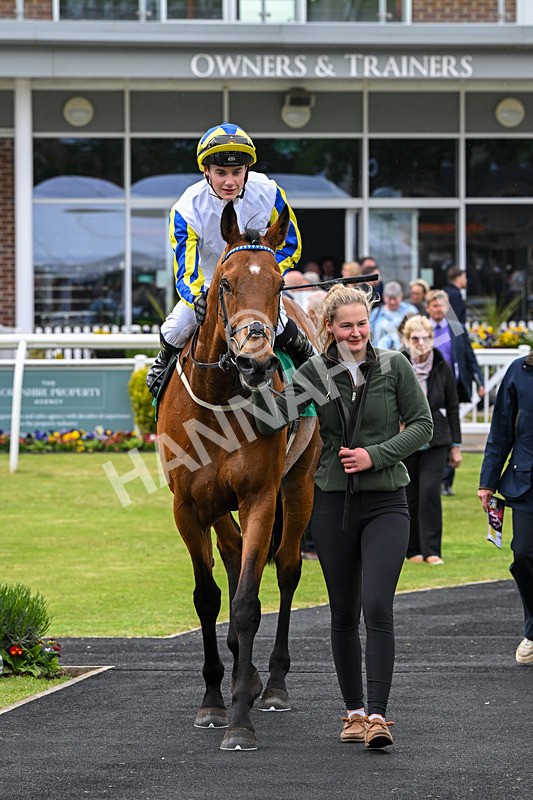 160526-Race 6-Empire Of Light-0019 - Race 6 4.47pm Sky Bet Club Handicap