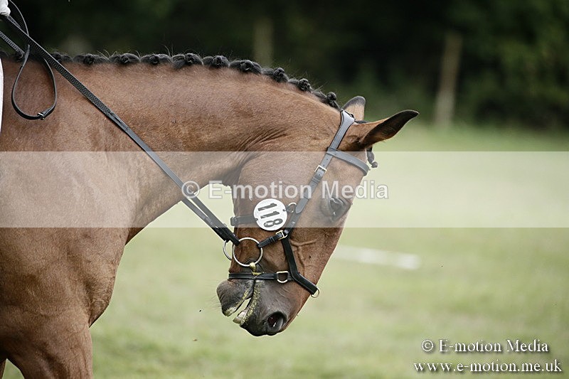 BVR090918 331 - BVRC Dressage and Show Jumping 09/09/18