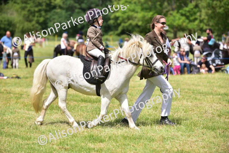 20260614-1257 - Class 11a - Lead Rein Pony (Unplaited)