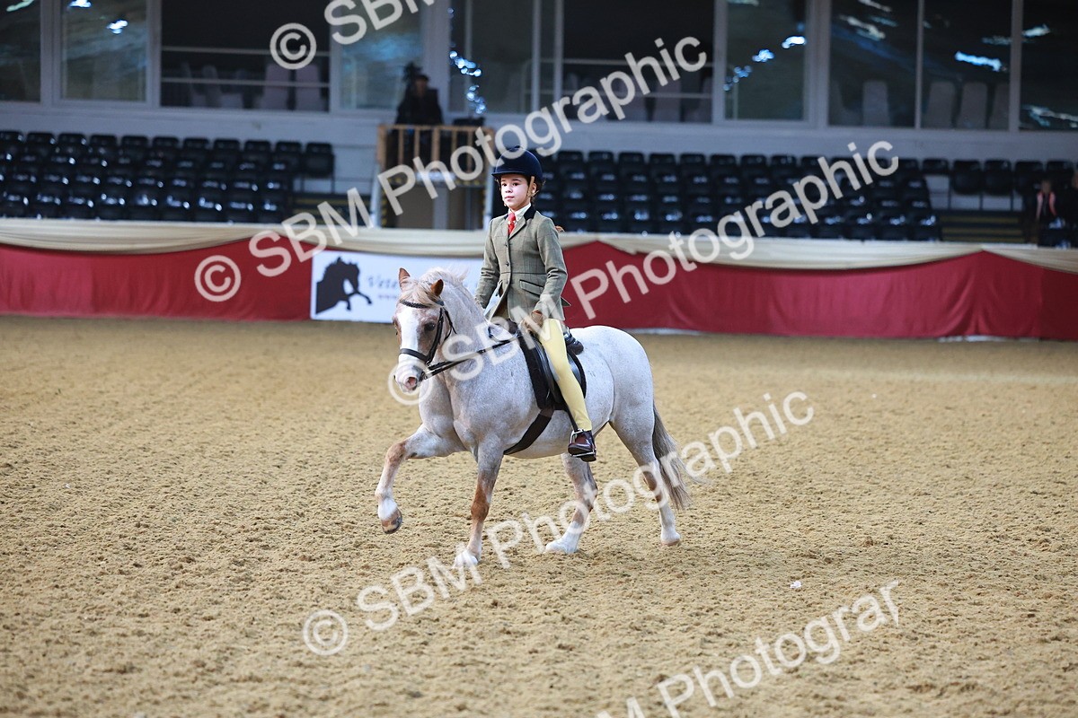 SBM_07677 - Class 101 - HOYS Veteran Qualifier - Ridden Diamond