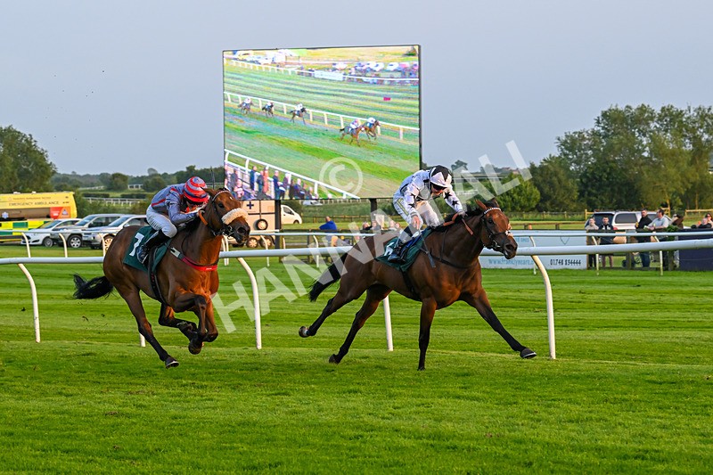 310524-Race 5-Dusk Dame-8936 - Race 5