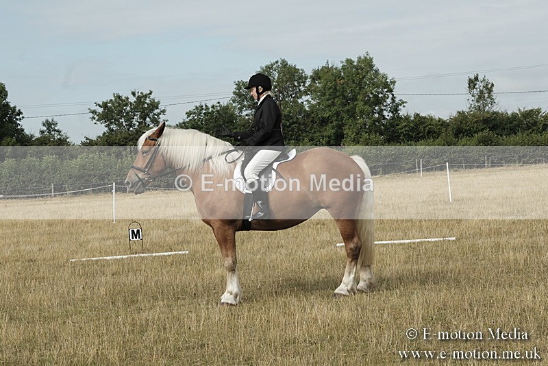 _PJP5602 - Dressage Classes BVRC Show 2018