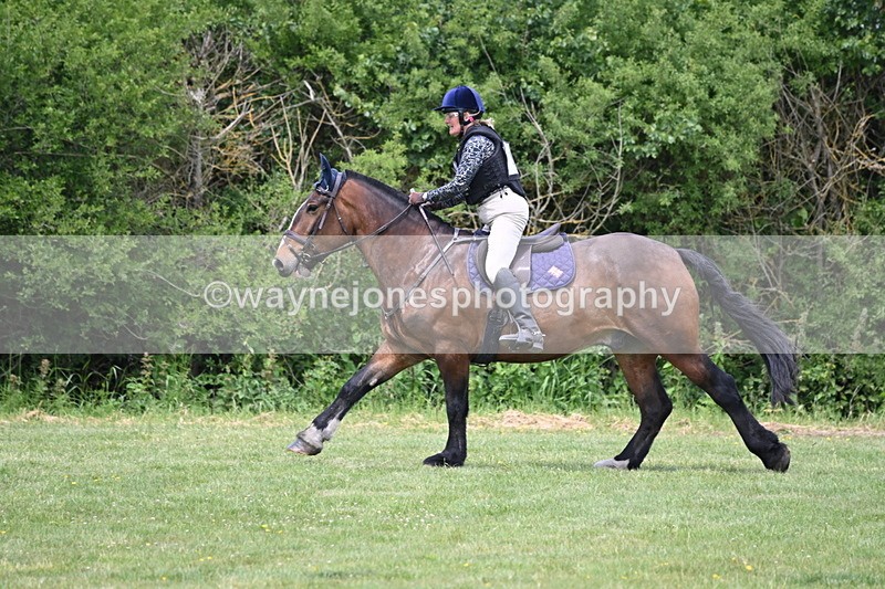 WJ6_3274 - Class 4 60cm