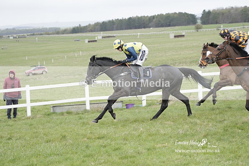 PtP 260323 0820 - New Forest Hounds Point-to-Point Larkhill 26/03/23