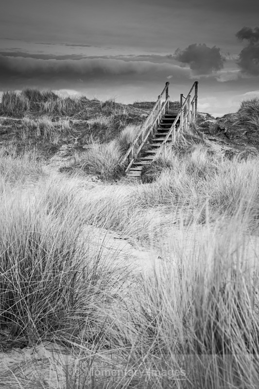 Findhorn steps Mono - Black and White