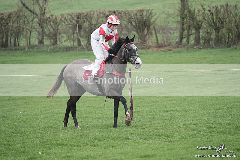 PR PtP 080326 534 - Guilsborough Pony Races 08/03/26