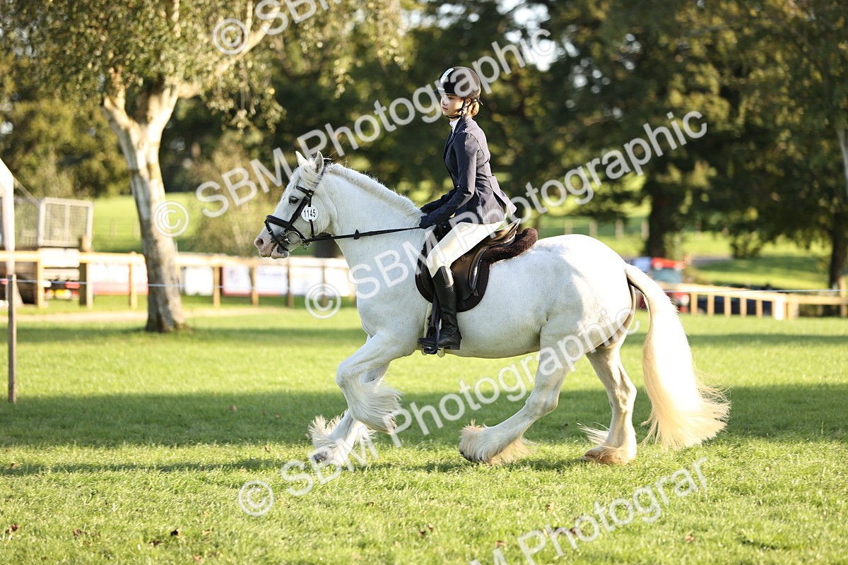 SBM_29579 - S7 - Novice & Newcomers Ridden Pony
