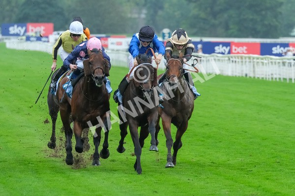 080925-Race 5-Elmonjed-9414 - Race 5 4.30pm Sky Bet Starman Garrowby Stakes
