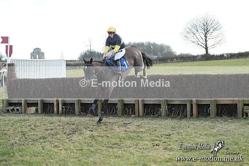 PtP 010325 636 - Beaufort Races Didmarton 01/03/25