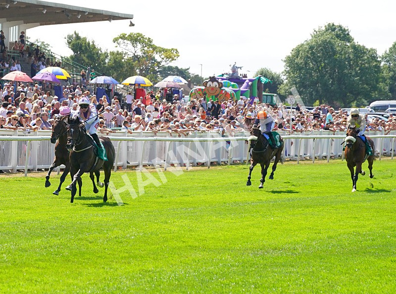 240726-Race 2-Blakey Ridge-01108 - Race 2 14.30pm Sky Bet For The Fans EBF Novice Stakes