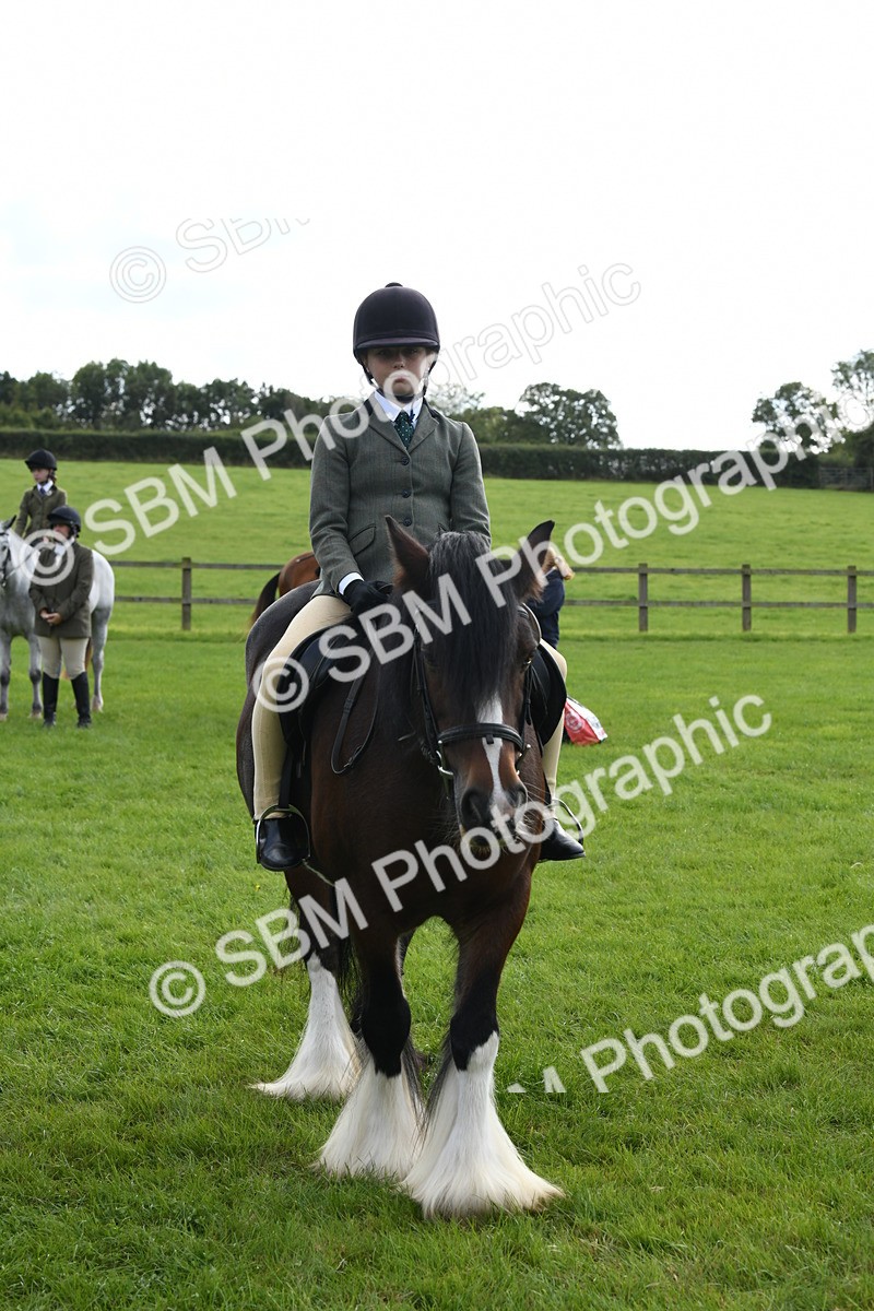 SBM_47228 - S12 - Family Horse & Pony