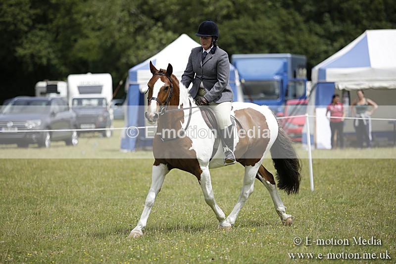 BVR160717-1920 - Ring 1 BVRC Show 16/07/17