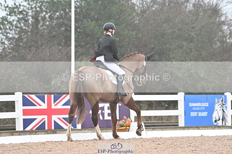 240217A-095250-00473 - 123-Daisy.Hedges-Felicia.v