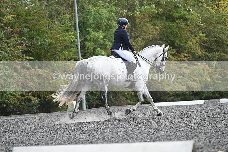 WJ7_6901 - Time 14:49 to 15:14