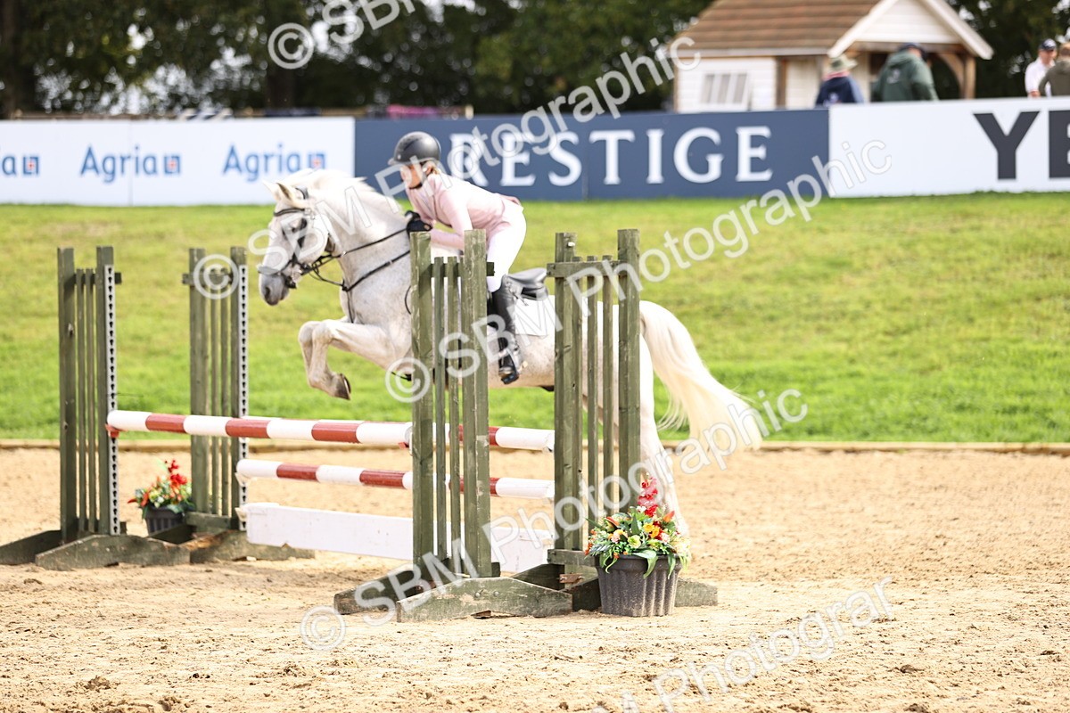 SBM_41116 - J40 Senior Horse & Pony 90cm Supreme Championship