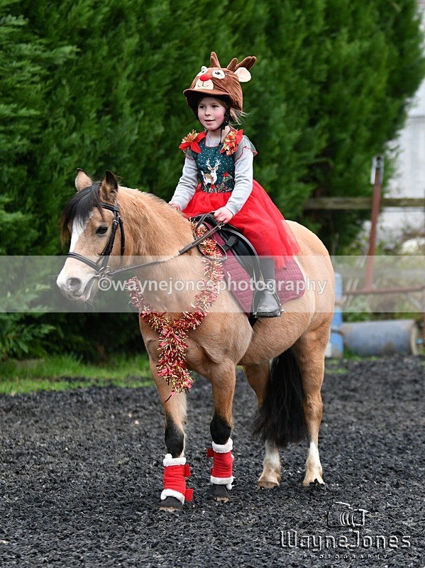 WJ5_3571 - Tanners Christmas Yard Fun 23-12-24