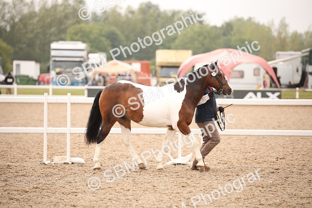 SBM_22099 - Class 707 - Ridden Groom-Helpers Class