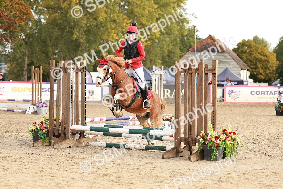 SBM_55625 - J11 - Junior Pony 50cm Championship