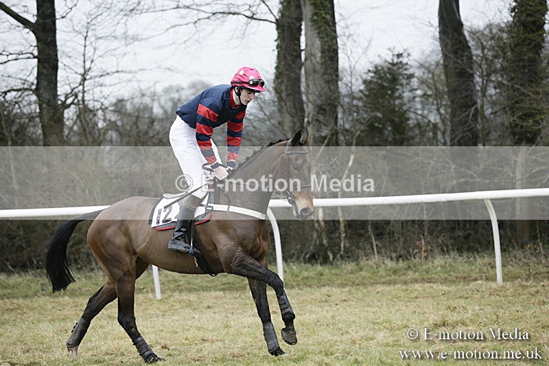 PtP 020418 -131 - Old Berks Point-to-Point Races Easter Monday 02/04/18