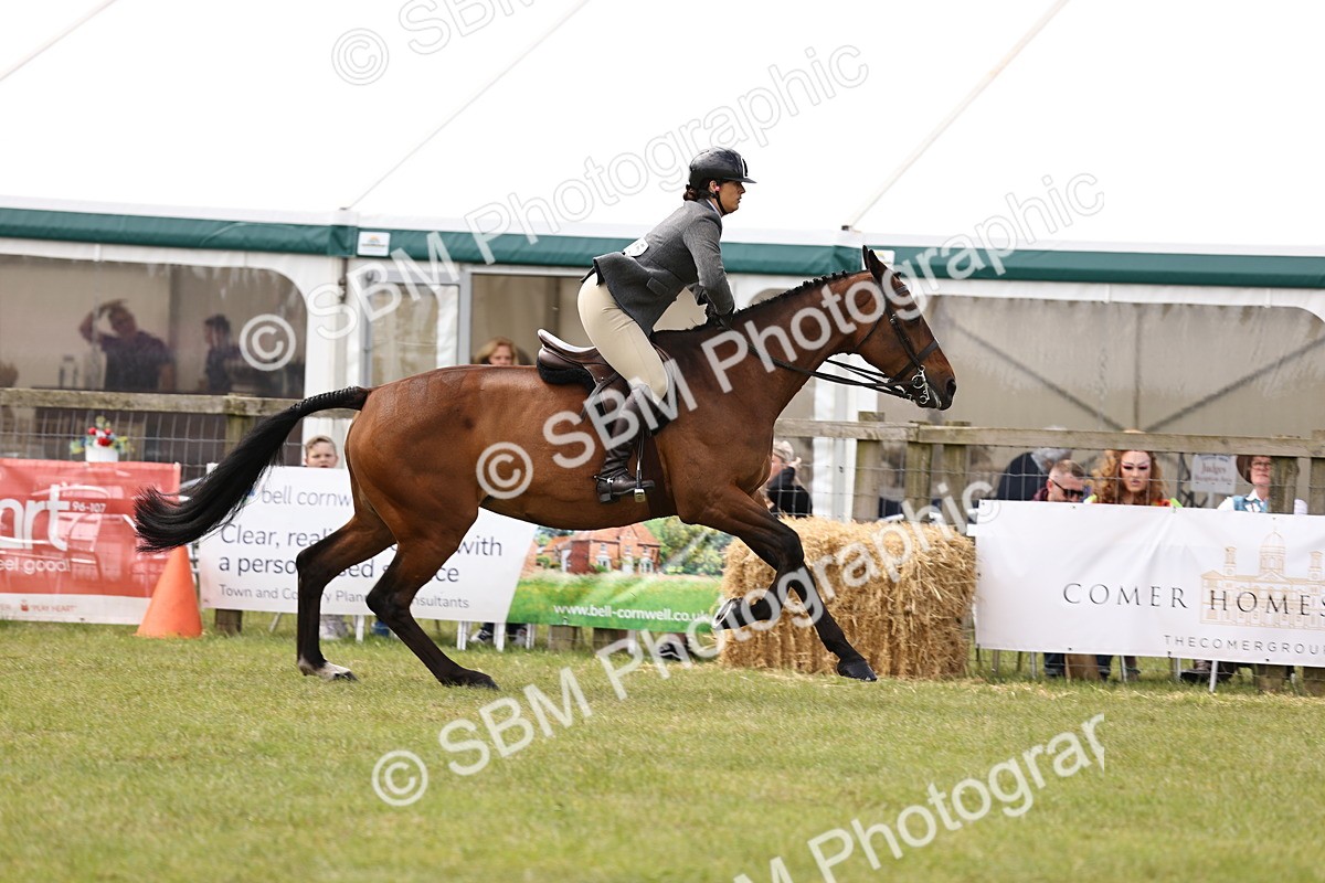 SBM_14688 - Class 88-89 - LIHS BSHA Rising Star of Ridden Hunter Type