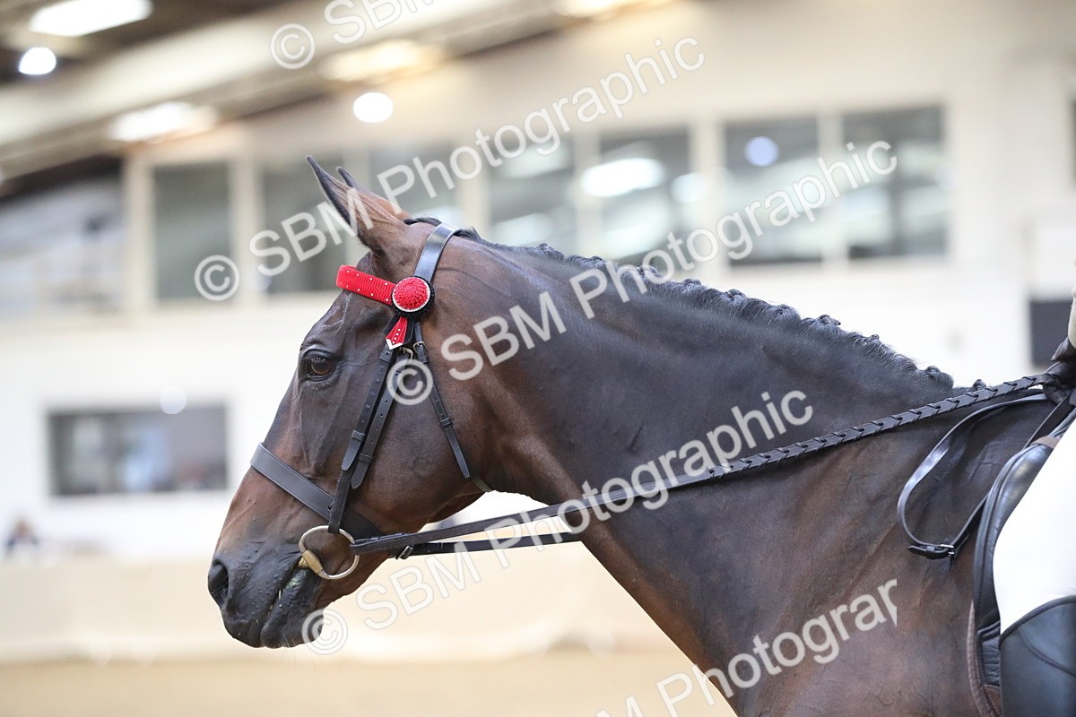 SBM_12354 - Class 108 Ridden Retired Racehorse- Pre Judging