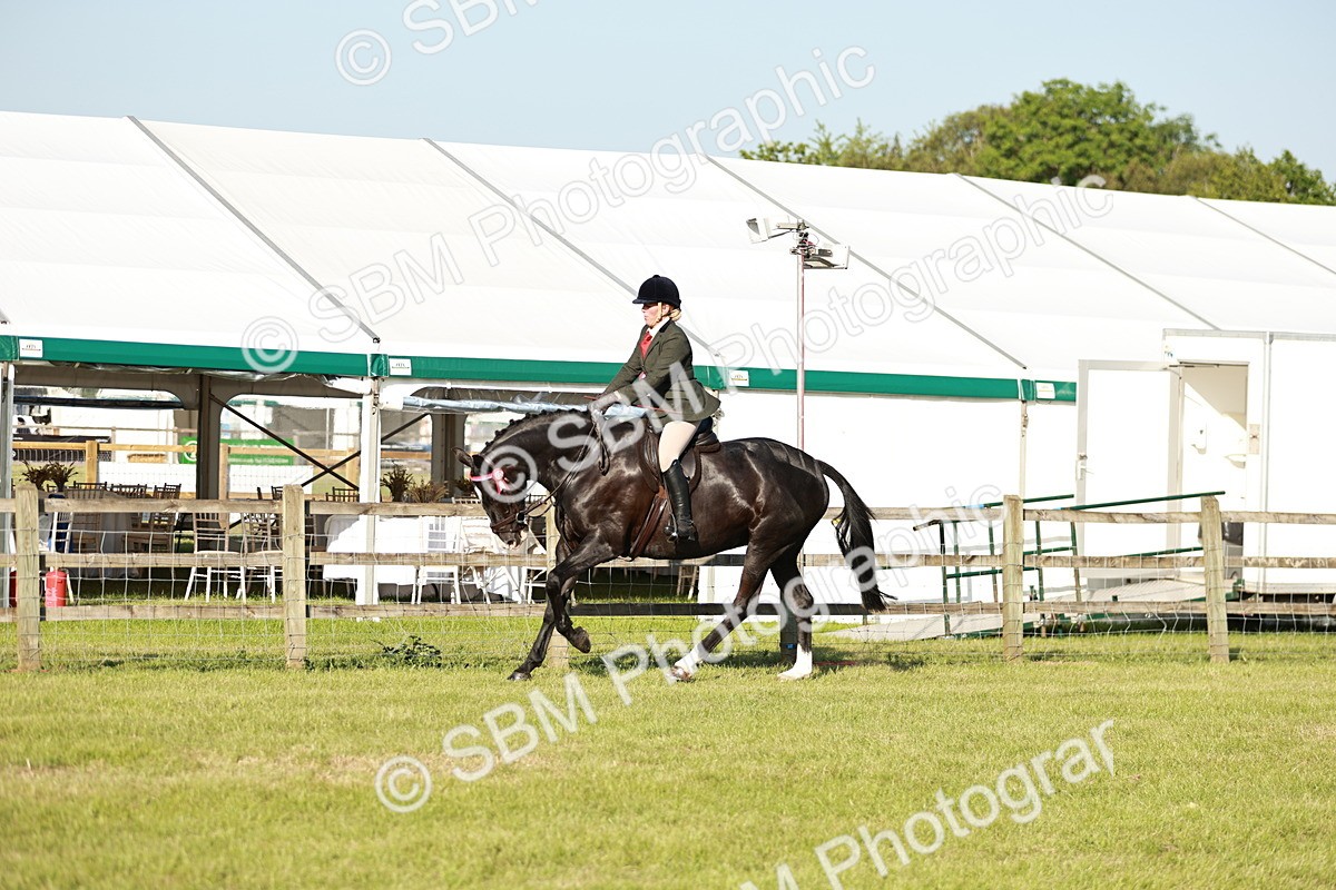 SBM_20104 - Class 115-116 - LIHS BSHA Rising Star Working Hunter & Show Horse