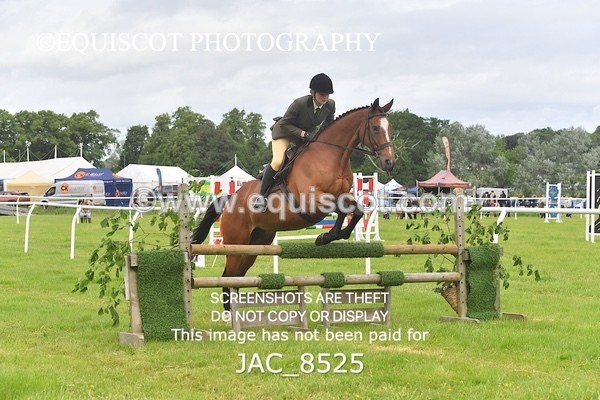 JAC_8525 - CLASS 3 BHS STYLE JUMPING