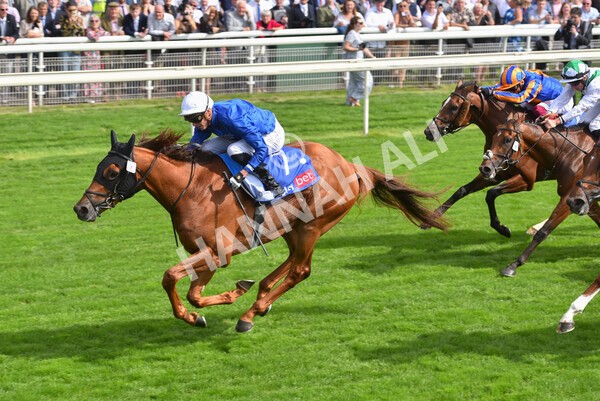 yr18082021r3-78 - Race 3 3.00pm Sky Bet Great Voltigeur Stakes