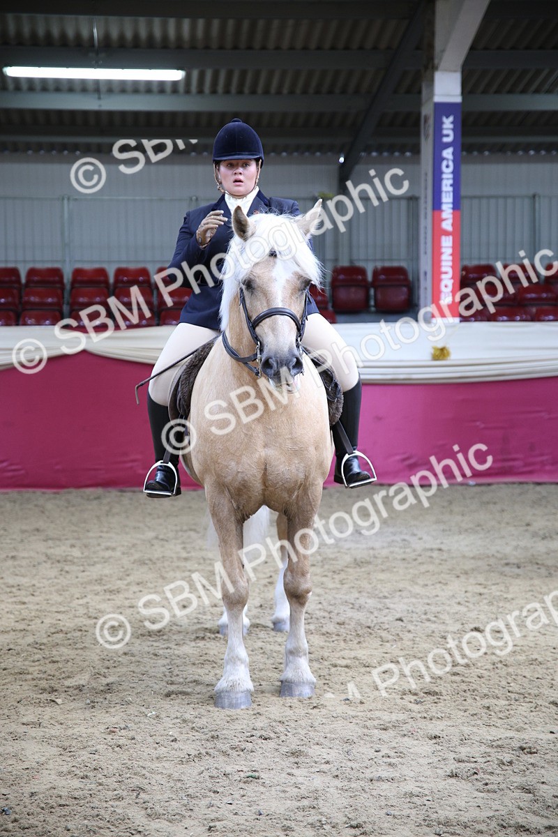 SBM_24238 - Class 905 - Supreme Final - Ridden Veteran