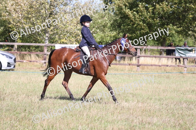 20260906-2346 - Class 16 - Family Pony