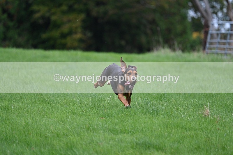 WJ7_4318 - Camera 1 Line 3