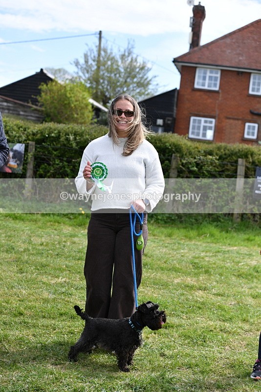 WJ5_0642 - Class 7 Best Terrier