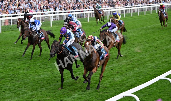 230825-282 Dain Ma Nut In - Race 7 5.20pm Sky Bet Steve Birch Finale Handicap
