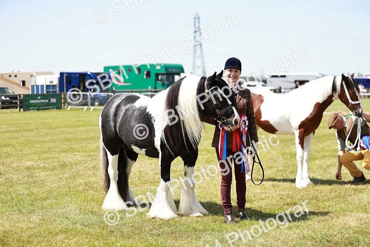 SBM_05523 - Class 41-45 - Riding Pony-Hunter Pony Breeding