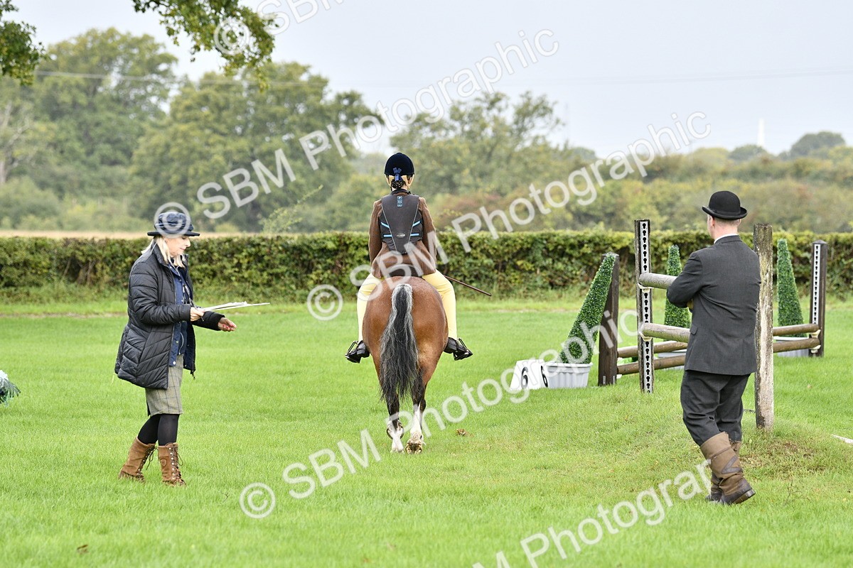 SBM_35436 - S30 - Nursery Stakes Working Hunter Pony