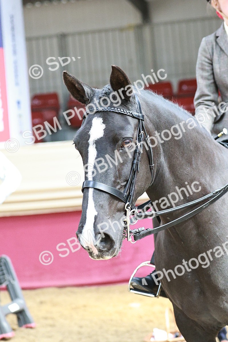 SBM_07057 - Class 10R - Regional Ridden Diamond