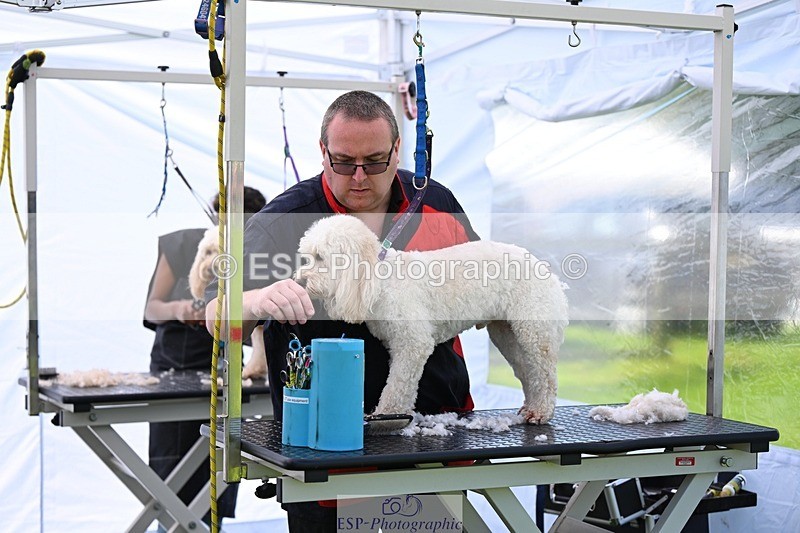 240525-114621-12605 - Candid and Saturday Hobby Horse