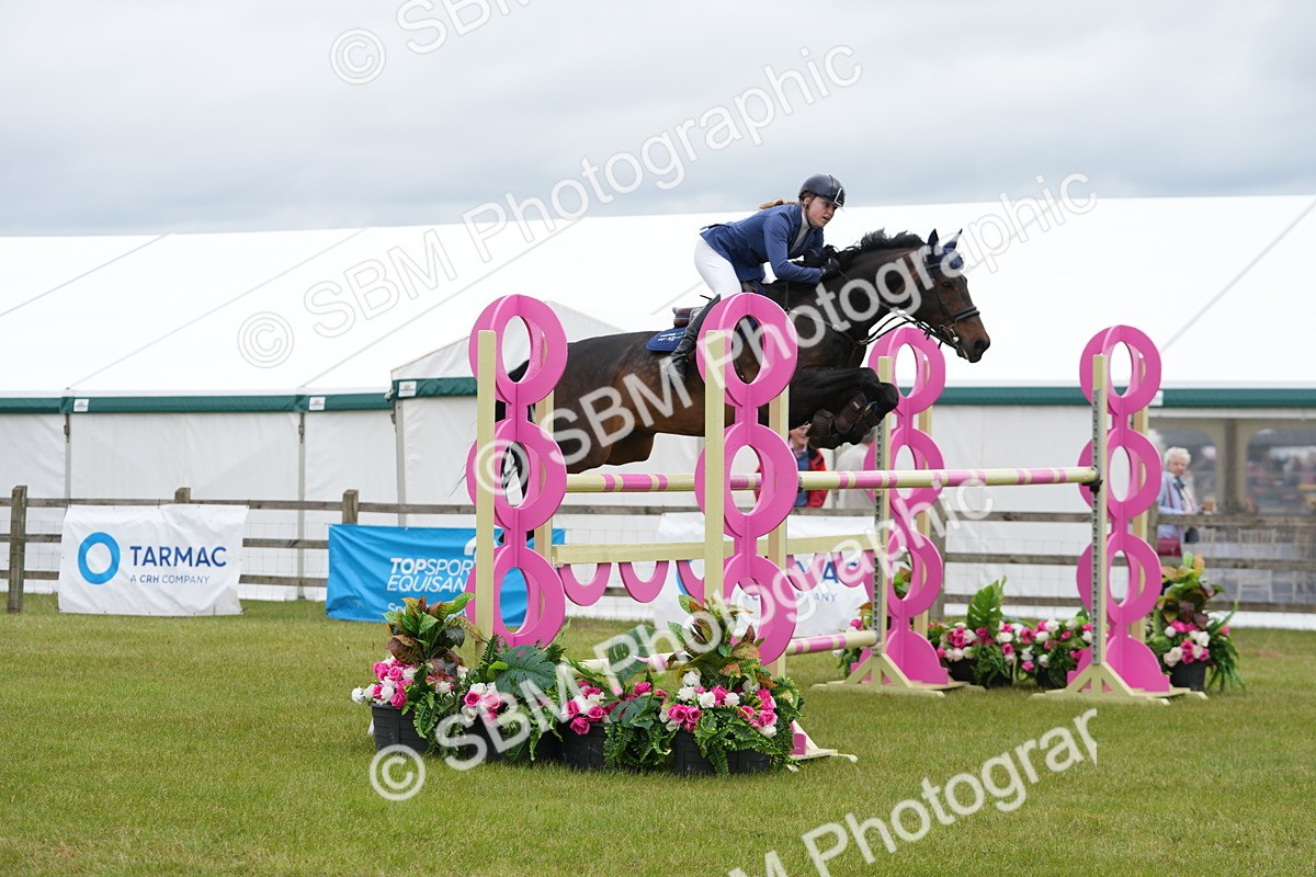 SBM_03049 - Class 201 - British Horse Feeds Speedi Beet Horse of the Year Show Grade  C