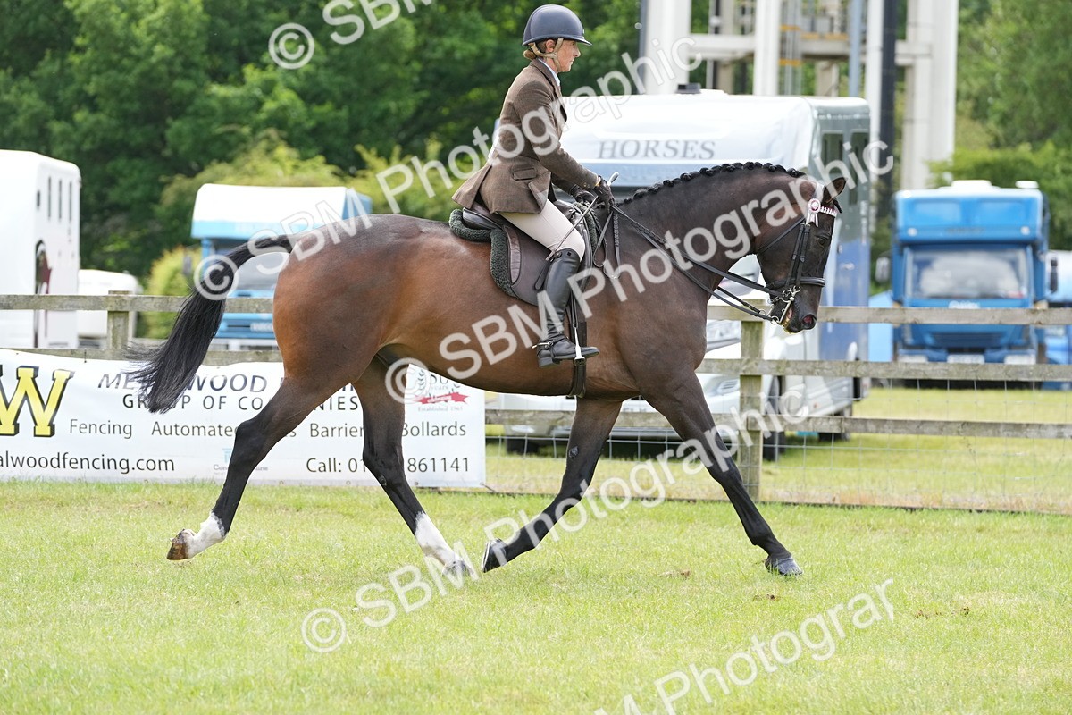 SBM_16235 - Class 105-106 - RIHS Riding Horses