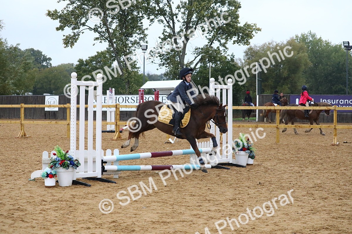 SBM_71497 - J4 - Mini Tour Junior Pony 45cm Championship