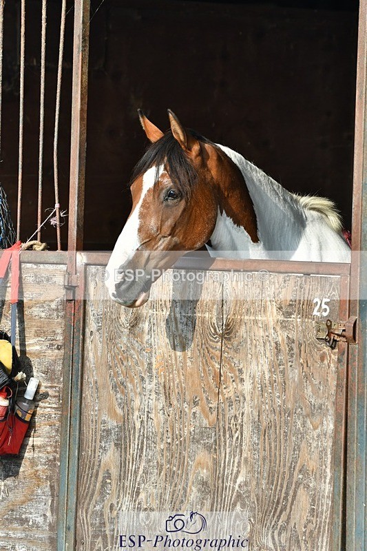 230817-084520-02450 - Stable Shots