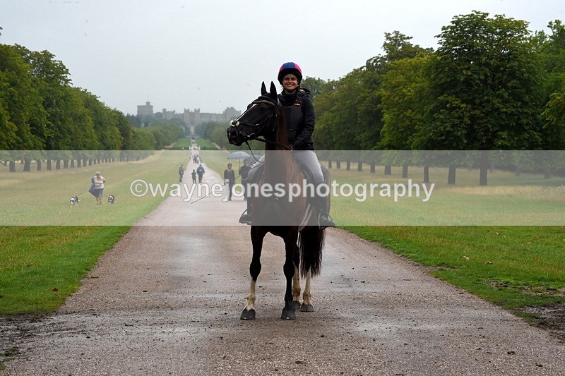 TT3_8826 - Time at Crossing 12:55 to 15:02