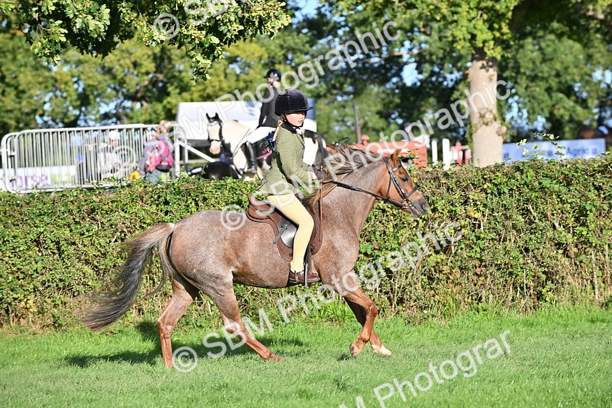 SBM_53043 - S23 - First Ridden Mountain & Moorland Pony