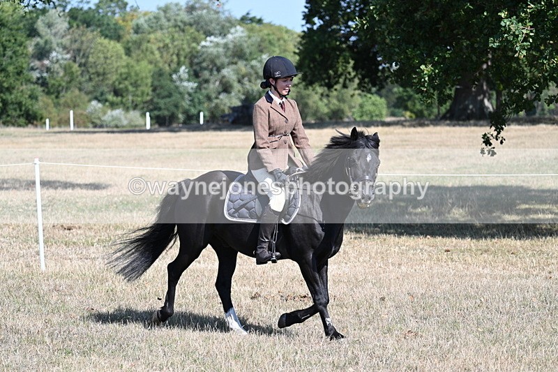 WJ7_3799 - Class 9 Mountain & Moorland Ridden