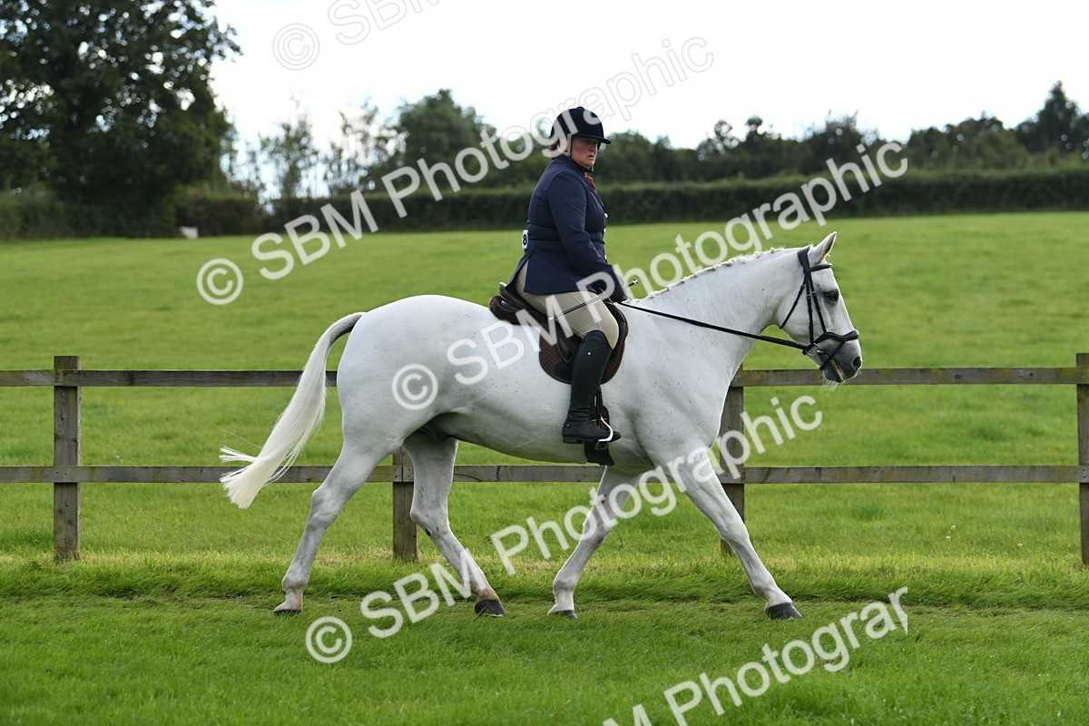 SBM_46752 - S12 - Family Horse & Pony