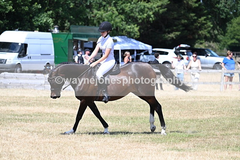 WJ7_3543 - Class 8 Ridden Veterans