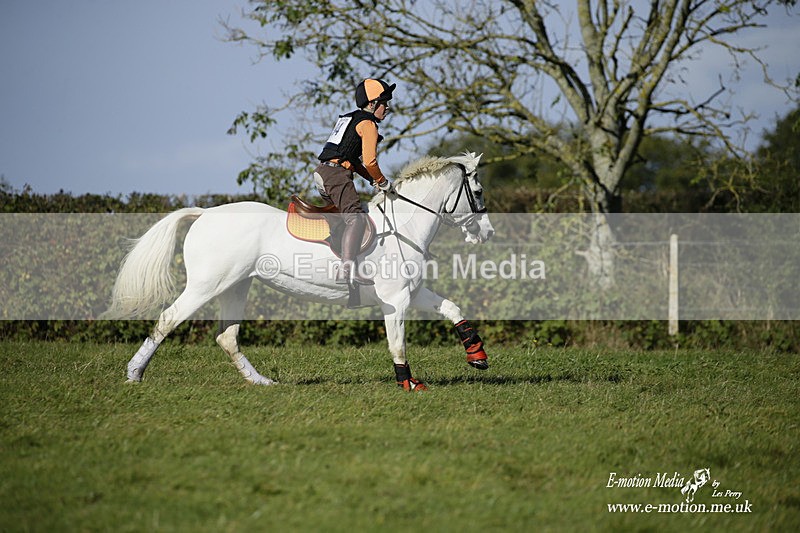  WWHT 031021 1269 - Open Novice (0.80m) 03/10/21