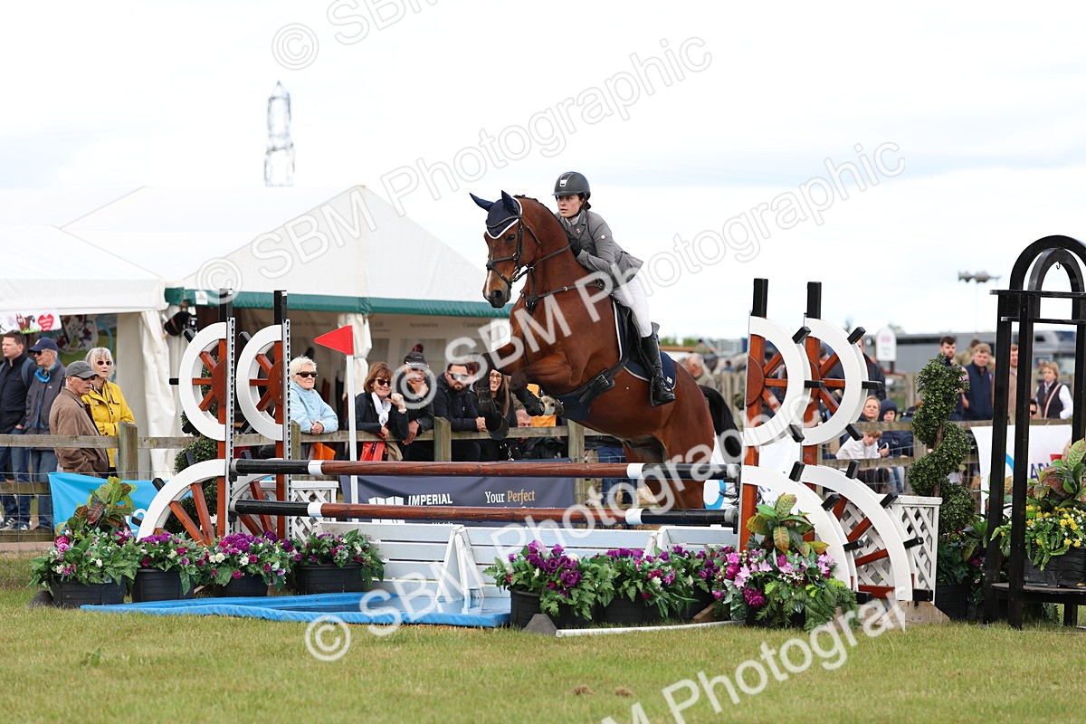 SBM_13797 - Class 206 - Senior Newcomers - 1.10m Open